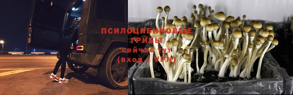 кокаин Беломорск