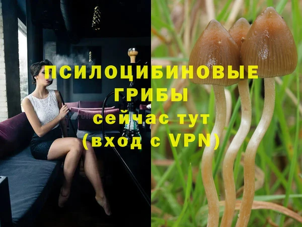 гидра Богородск