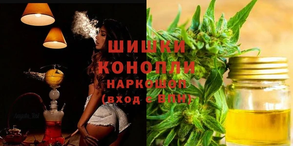 гидра Богородск