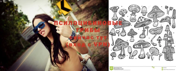 ешки Богородицк
