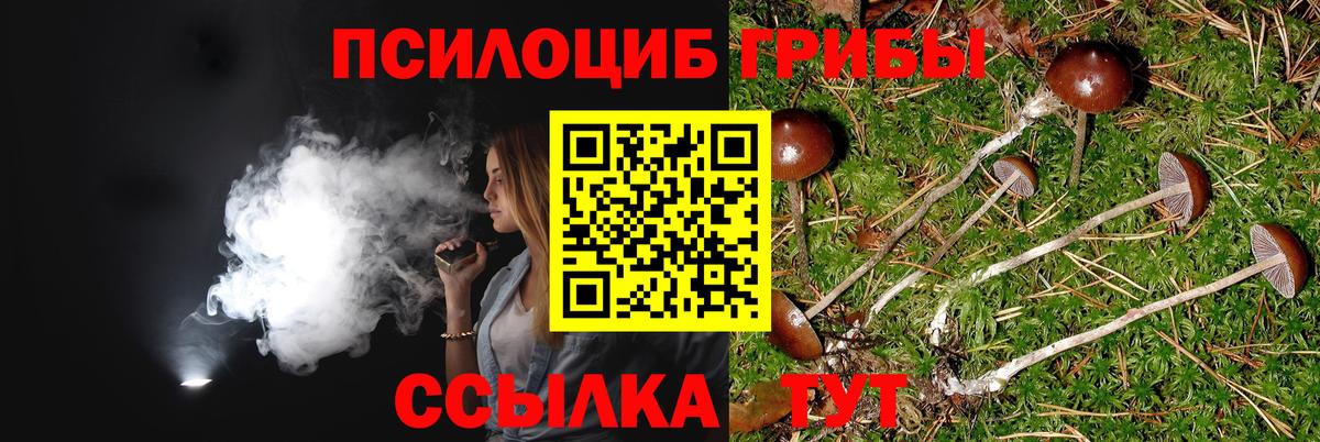Галлюциногенные грибы GOLDEN TEACHER Свободный