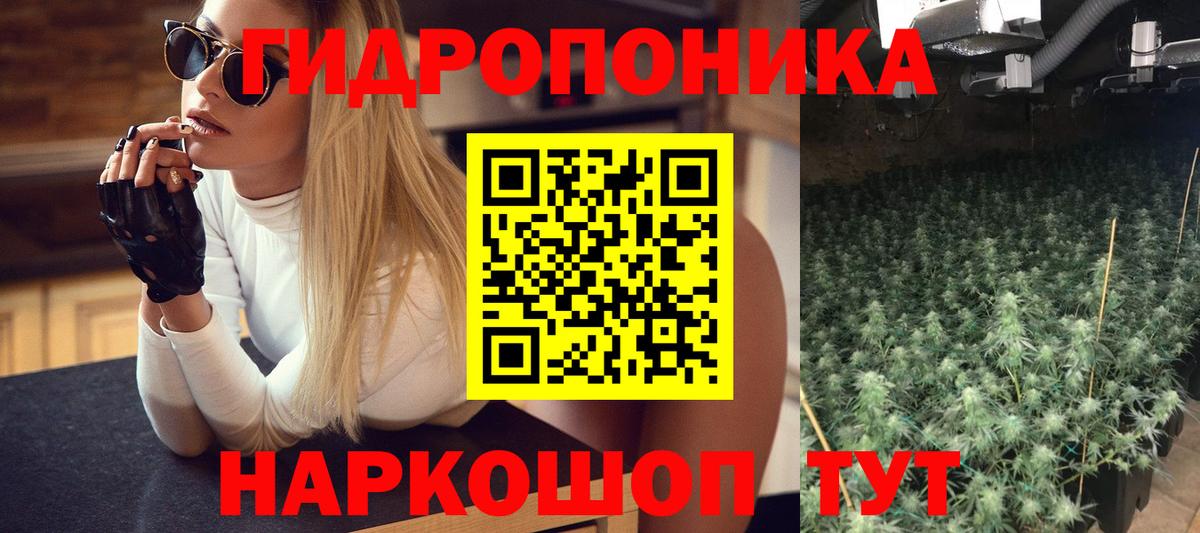 Каннабис семена  МАРИХУАНА OG Kush  Вход с VPN  Каннабис AK-47  Свободный 
